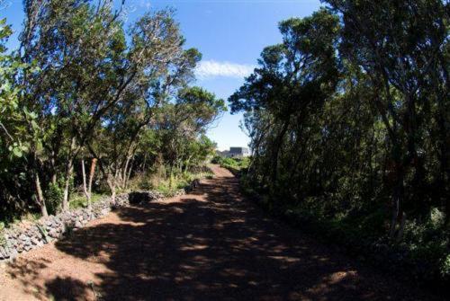 Casa Das Faias Santa Cruz da Graciosa Εξωτερικό φωτογραφία